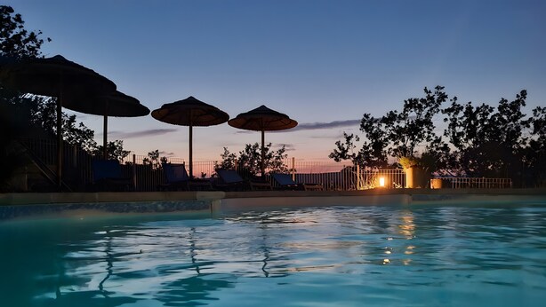 Une piscine entourée d’arbres et d’une clôture, avec des chaises longues et des parasols.