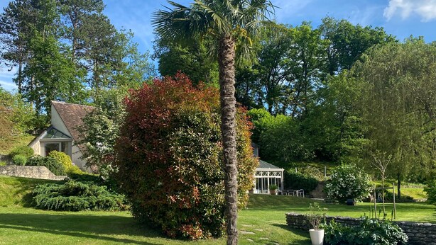 A swimming pool with lounge chairs, a palm tree, and a house with a glass conservatory. - Guest Room “Entre Loire et Cher” with Private Heated Pool, Private Terrace & Wi-Fi (Faverolles-sur-Cher)