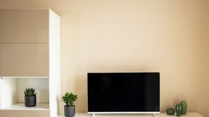A flat-screen TV on a white stand against a beige wall, with two potted plants and two cacti on the adjacent shelf. - Brezza Apartments (Santa Flavia)