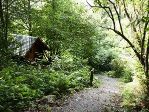 Property grounds - Family Waldkauz's Guesthouse in the Forest with Sauna (Helsa)