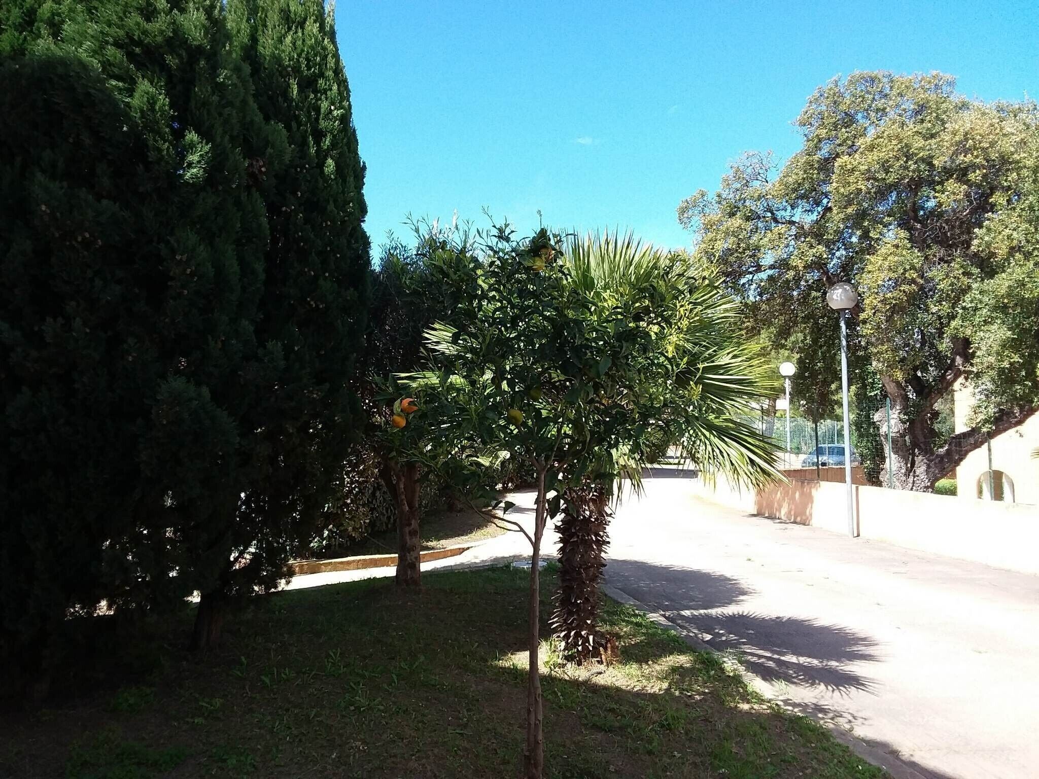 Terrein van de accommodatie