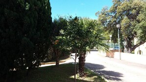 Un parc avec différents types d’arbres, un sentier et un lampadaire.