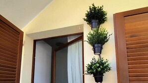 Une porte d’entrée en bois et une fenêtre avec un rideau. Trois plantes en pot sont posées sur un support fixé au mur.