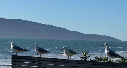 Raumati Sunsets on Rosetta