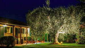 A house with a well-lit garden at night, a lawn, and a patio area. - Ghiaccio Bosco Capalbio (Capalbio)