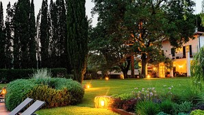 A well-maintained garden with a lawn, a tree, and a building with warm lighting. - Ghiaccio Bosco Capalbio (Capalbio)