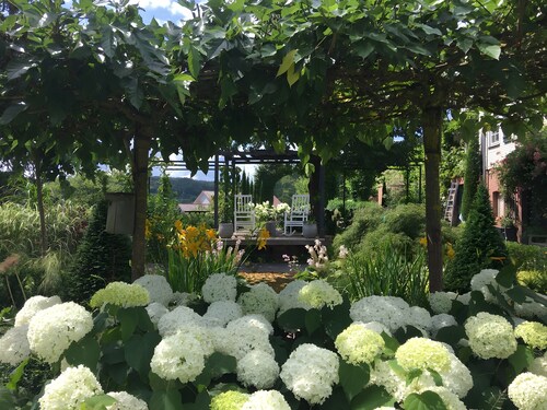 Tiny Home Waldwagen Altes Forstamt Sinntal, sep. kitchen/bath 50m, mountain view, 18k sqm garden