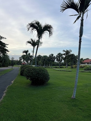 A well-maintained grassy area with palm trees and a paved path. - Luxury Private Villa Pool & Jacuzzi Juan Dolio (Guayacanes)