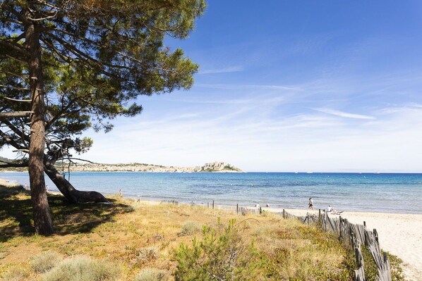 A beach with a wooden fence, a pine tree, and a distant rocky island. - Hôtel Maristella (Aregno)