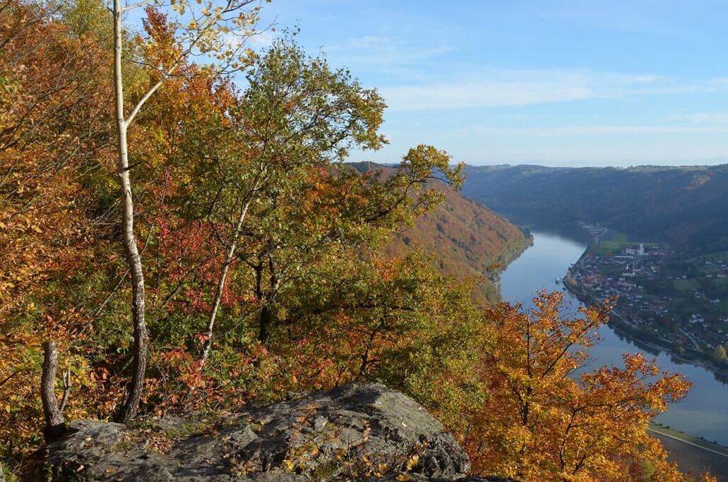 A river valley with autumn foliage and a town in the distance.