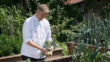A person tending to plants in a garden with raised beds and a variety of vegetables.