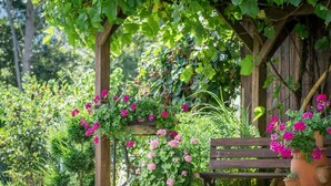 Eine Hollaube mit Kletterpflanzen und Blumen, eine hölzerne Bank und Kübelpflanzen.