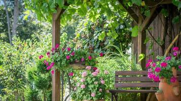 Áreas de la propiedad