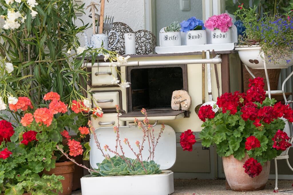 Terrain de l’hébergement 