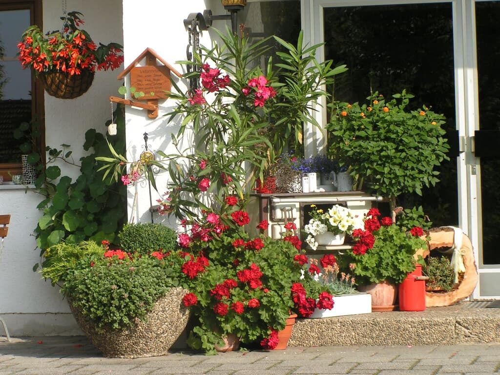 A variety of potted plants and flowers in front of a building.