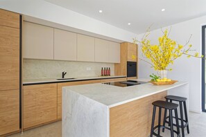 Fridge, oven, stovetop, dishwasher - Villa Belica - 4 persons, private pool, barbecue, sauna (Buzet)