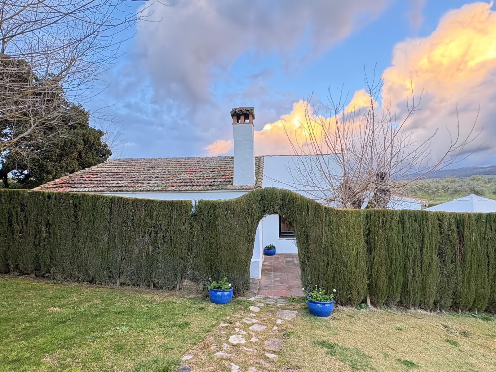 Villa presidencial, vistas al jardín | Exterior
