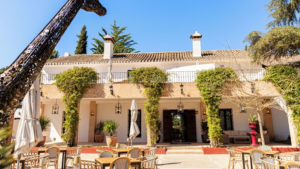 A building with a patio area featuring outdoor seating and potted plants. - Hotel Boutique Palacio del Moral (Ronda)