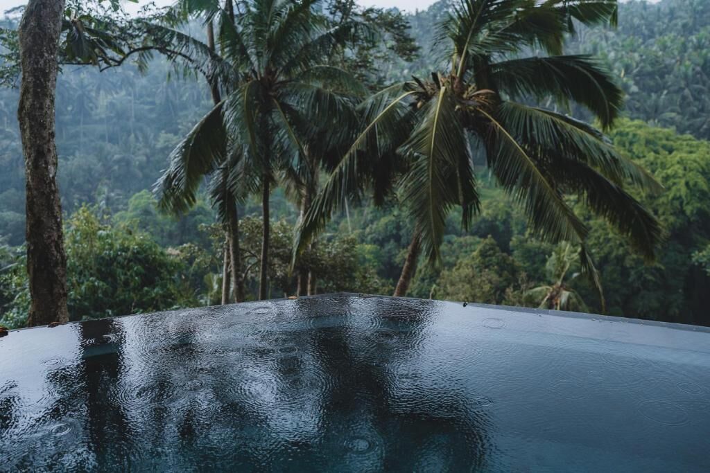 A clear view of a swimming pool with a tropical background.