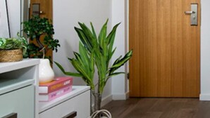 Una habitación con puerta de madera, pared blanca, espejo, planta verde, armario blanco con cajones y una cesta en el suelo.