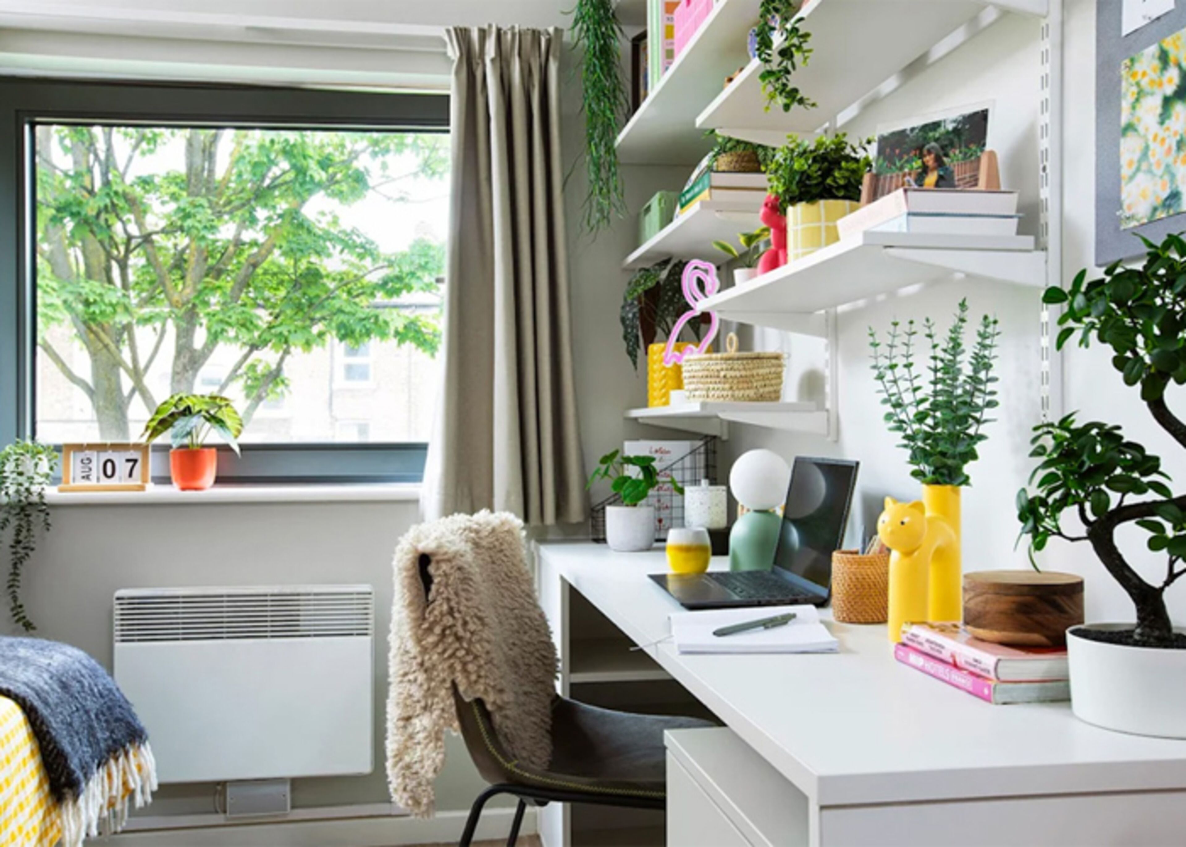 クラシック シングルルーム | 内装