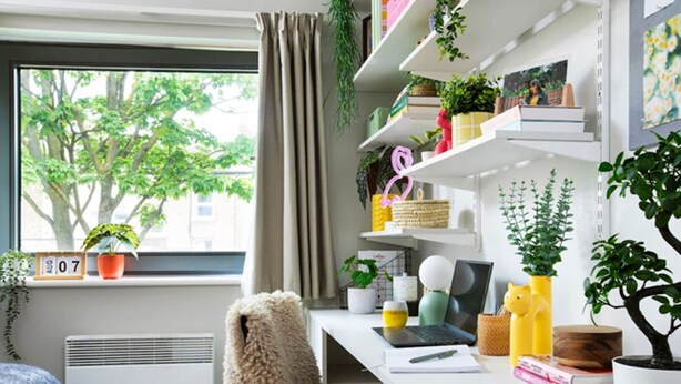 Un espacio de oficina moderno con un escritorio, una silla, estanterías con plantas y un ventanal con vistas a árboles.