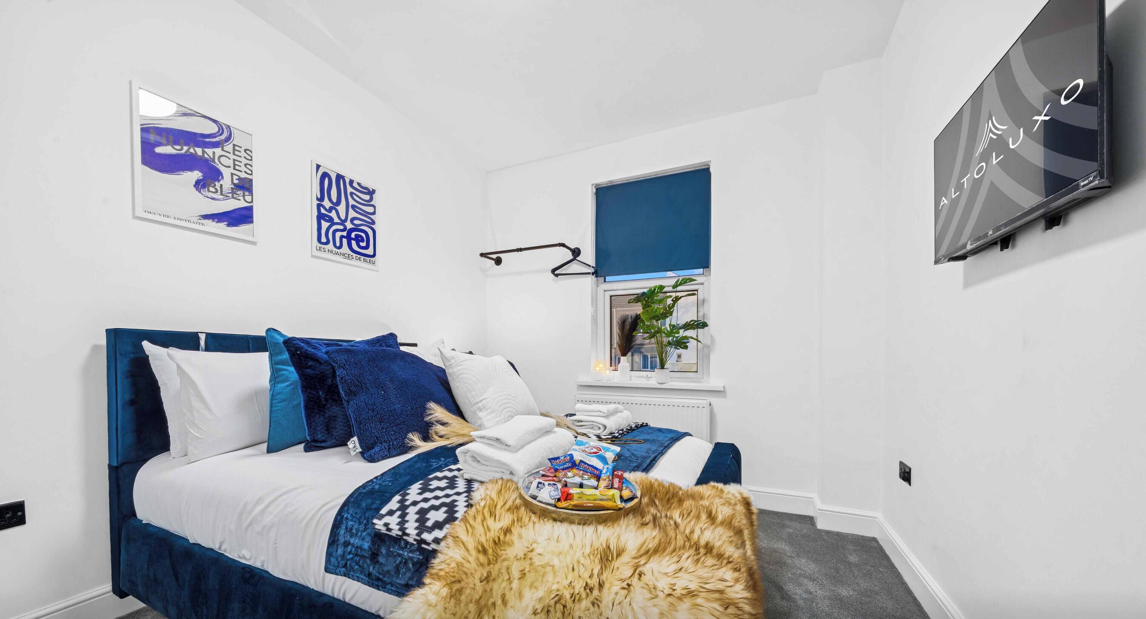 A bedroom with a bed, a TV, artwork, and a window with a view.
