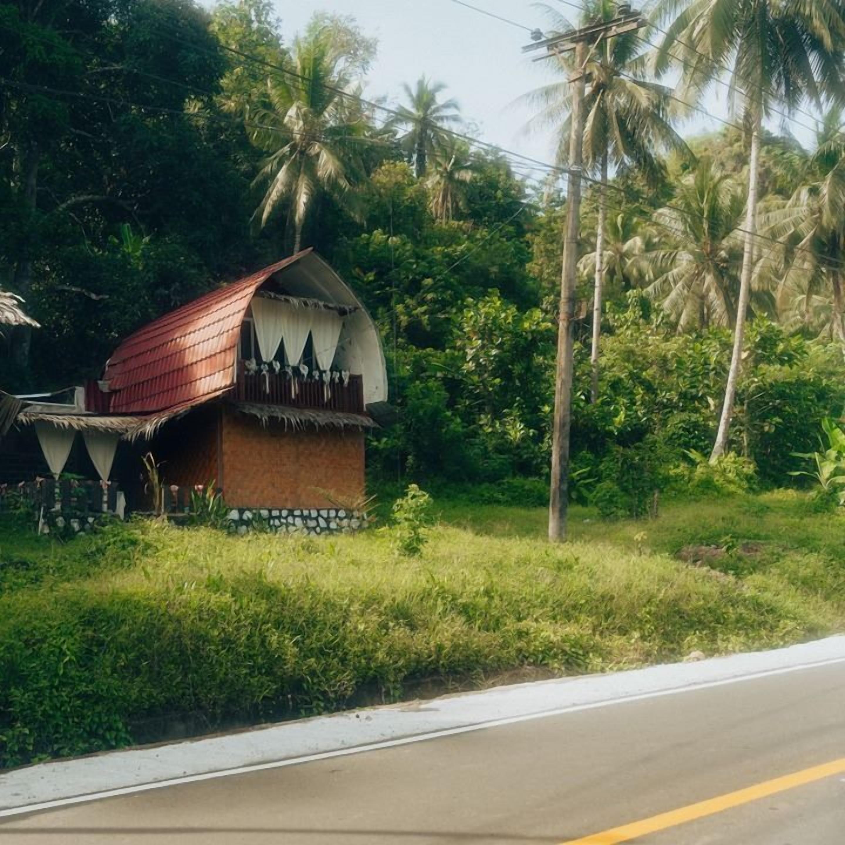 A rural house with a thatched roof and a red corrugated metal roof, surrounded by lush greenery and palm trees.