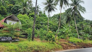 A small house with a red roof, surrounded by lush greenery and palm trees. - Pondok Wisata Noah (Likupang)
