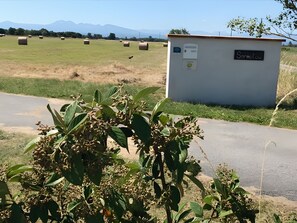 Property grounds - Gite La Petite Maison mazere – Peaceful Retreat in the Ariège Countryside (Mazères)