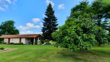 Terrein van de accommodatie