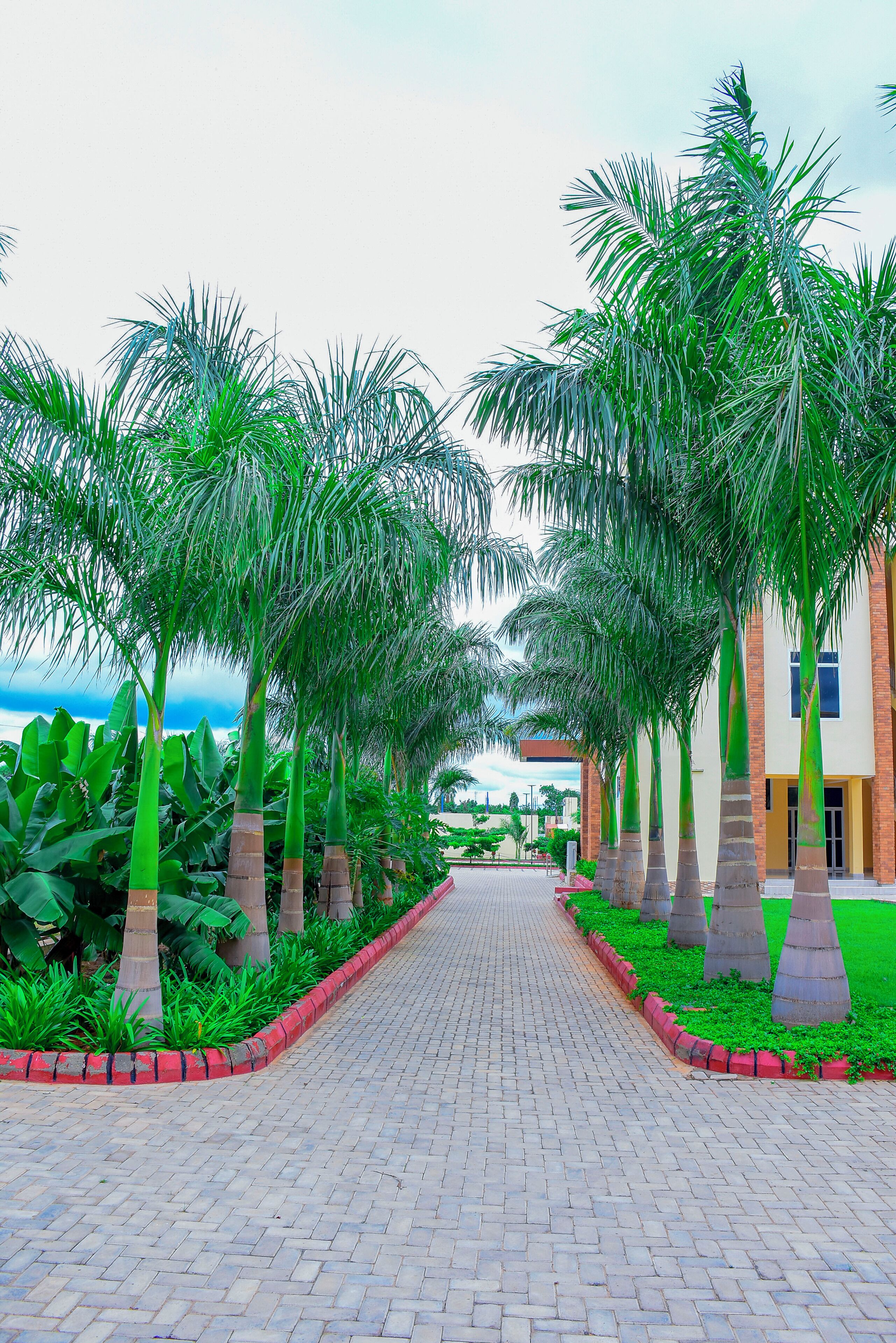 บริเวณที่พัก