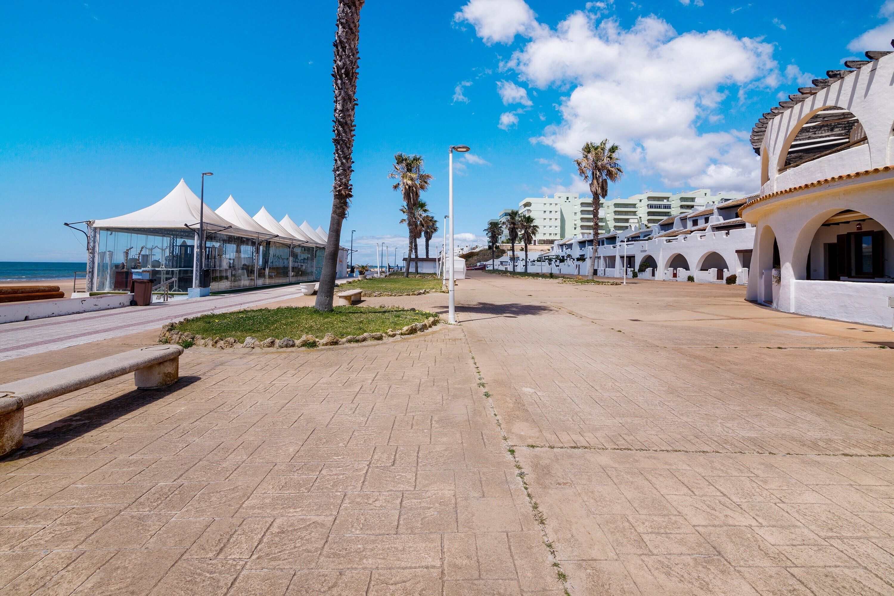 A paved walkway with benches, palm trees, and a clear blue sky.
