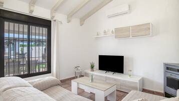 TV, fireplace