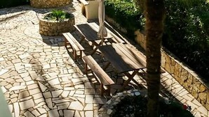 Ảnh chưa phân loại, 2 trong số 31 ảnh, nút