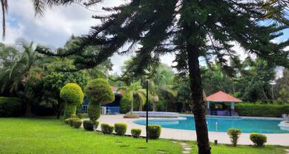 Gezahegn and Elfinesh