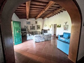 Ein Wohnzimmer mit Kamin, einer grünen Tür und einem blauen Sofa.
