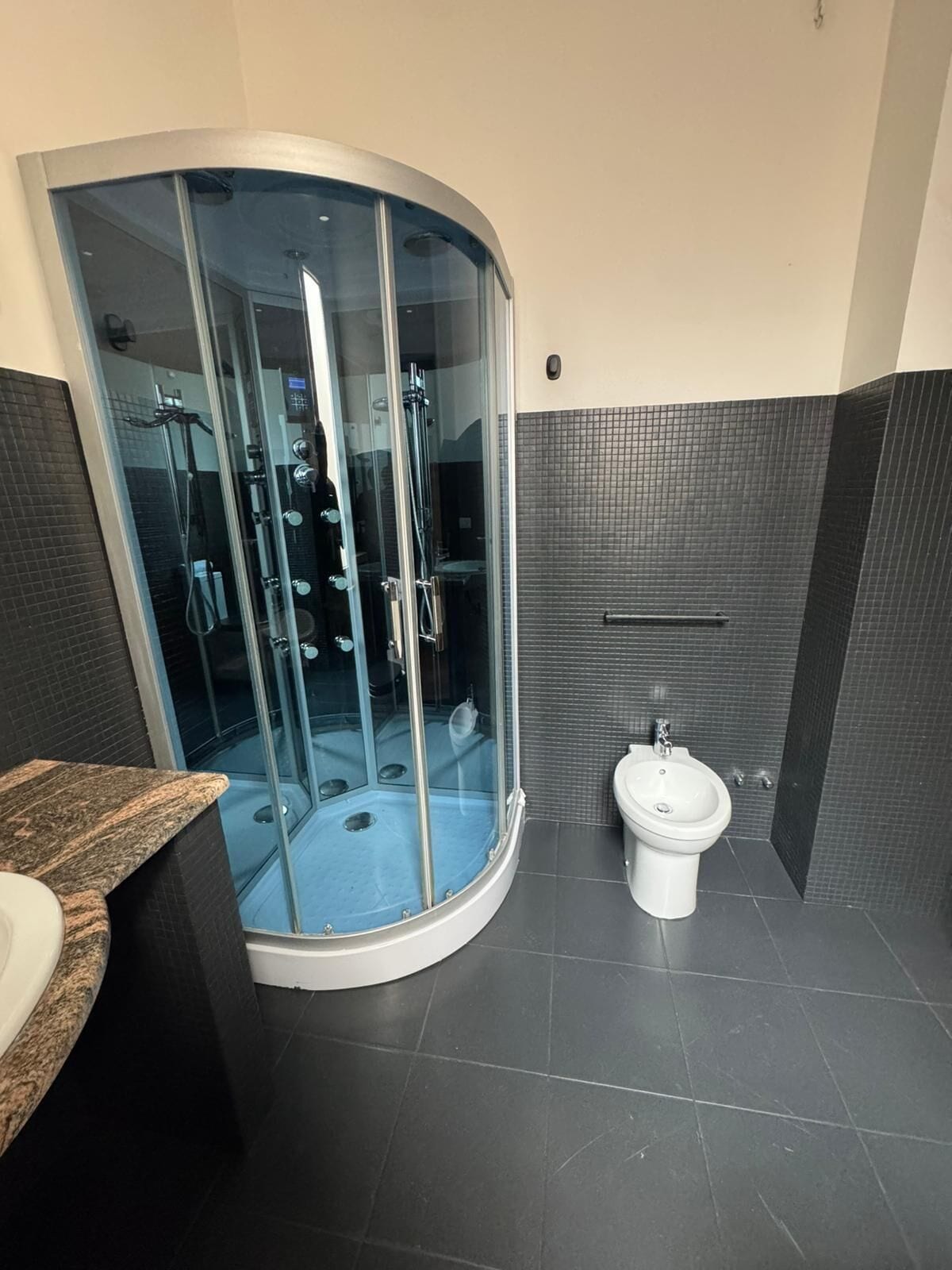 Une salle de bain moderne dotée d’une douche à parois de verre, d’un bidet et d’un comptoir en granit.