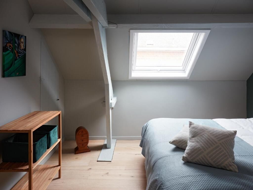 Deluxe Apartment, City View