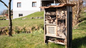 Un abreuvoir à oiseaux est placé devant une maison dont la façade est blanche et le toit, marron.
