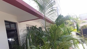 Fachada de edificio con pintura blanca, techo rojo y una maceta con hojas verdes largas.