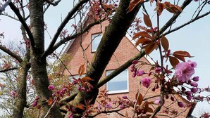 Ein Ziegelhaus mit Garten und blühenden Bäumen.