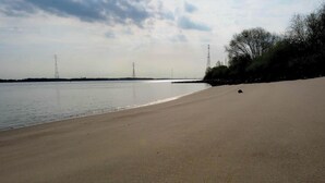 Ein Strand mit ruhiger See, sandigem Ufer und Stromleitungen in der Ferne.