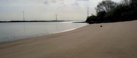 Serviettes de plage