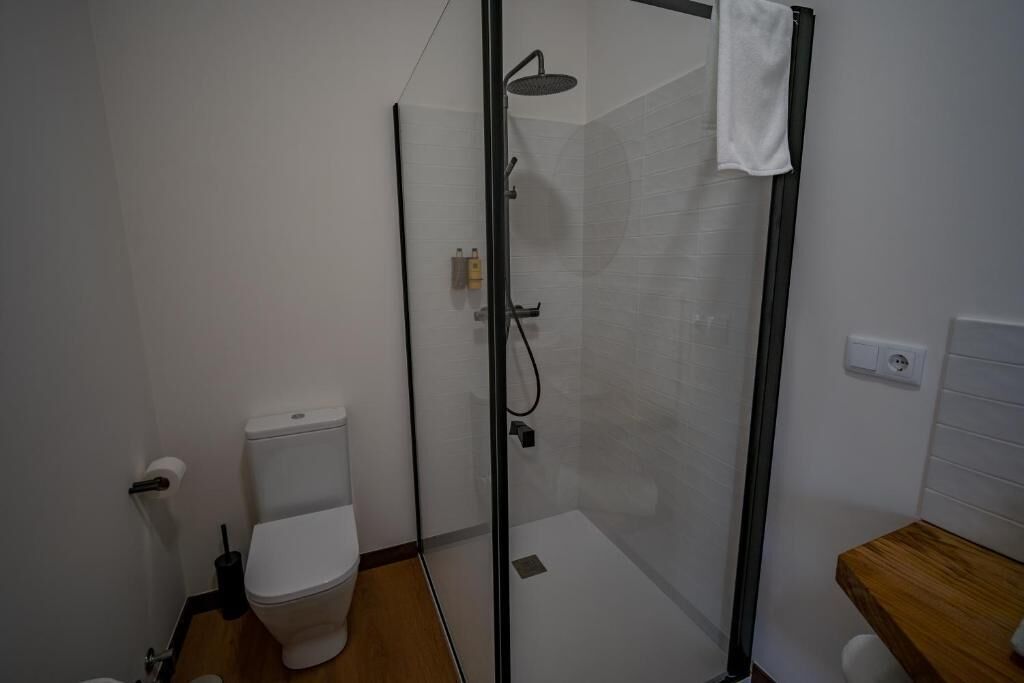 A modern bathroom with a glass-enclosed shower, a toilet, and a wooden vanity.