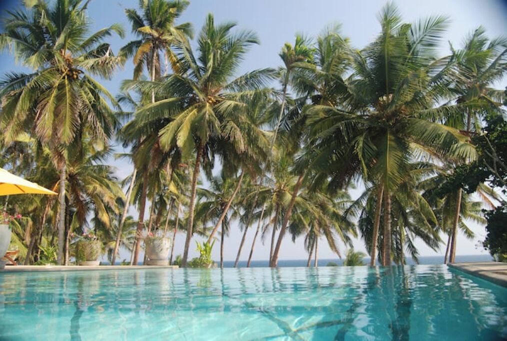 A swimming pool surrounded by palm trees.