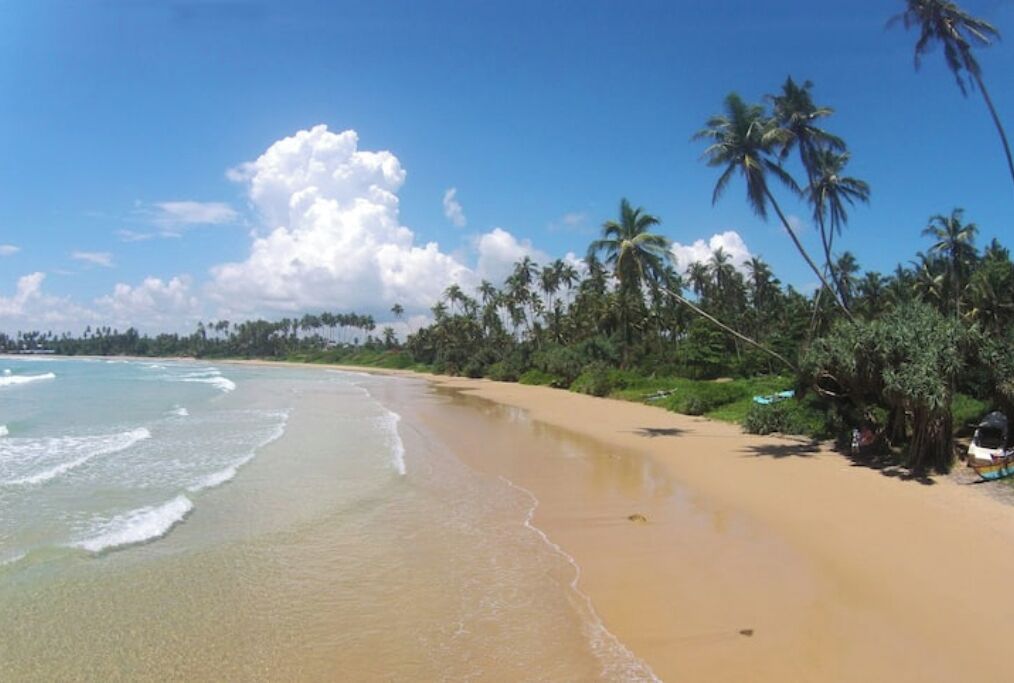 A beach with clear water, palm trees, and a sandy shore.