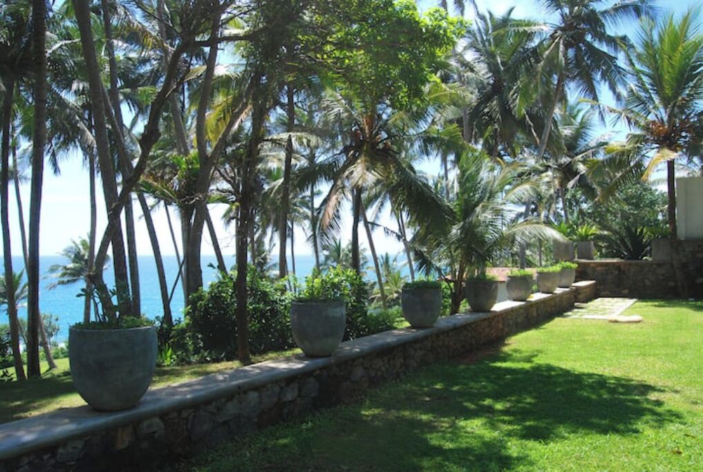 A stone pathway lined with large planters, palm trees, and a view of the ocean.
