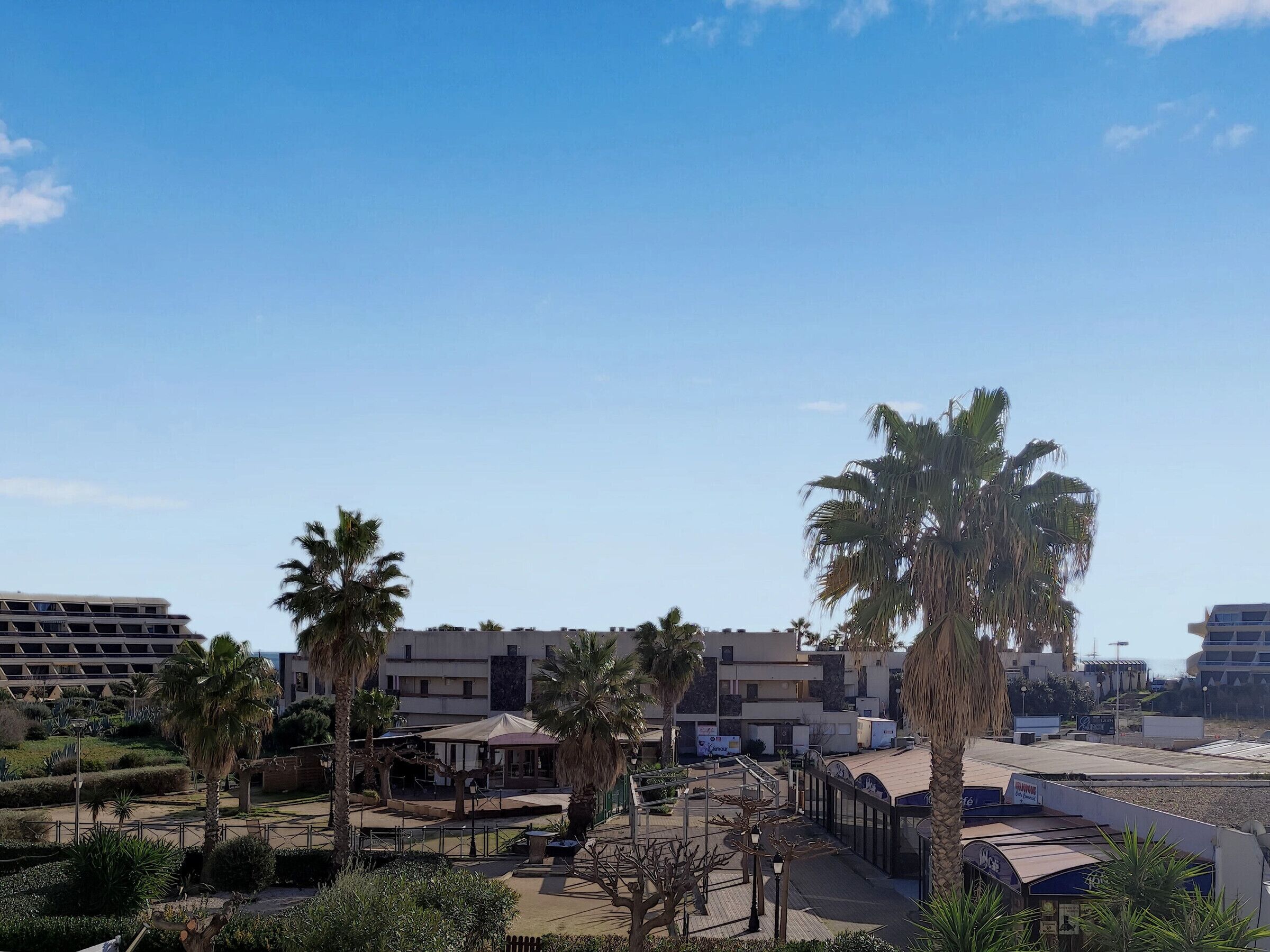 A hotel with a rooftop terrace, palm trees, and a clear blue sky.