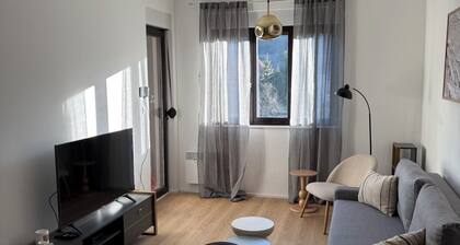 Tranquil 1-bedroom sunny apartment in Kolasin
